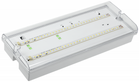 Светильник аварийный ЛБА 3923 непостоянный автономный, 3 ч., 2х8 Вт TDM